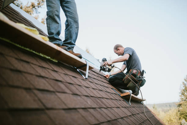 Quick and Trustworthy Emergency Roof Repair Services in Northumberland, PA